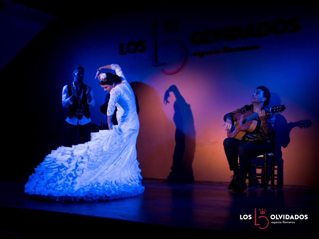 Flamenco los Olvidados景点图片