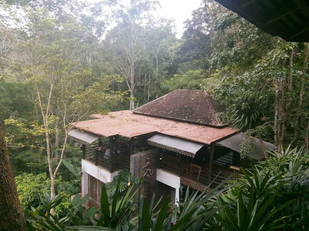 32 Coffee Hill & Resort主图