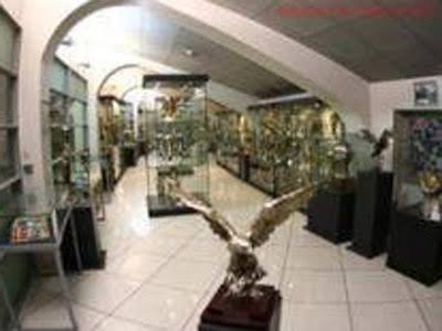 Gaziantep Kultur Tarihi Muzesi-加济安泰普必去景点