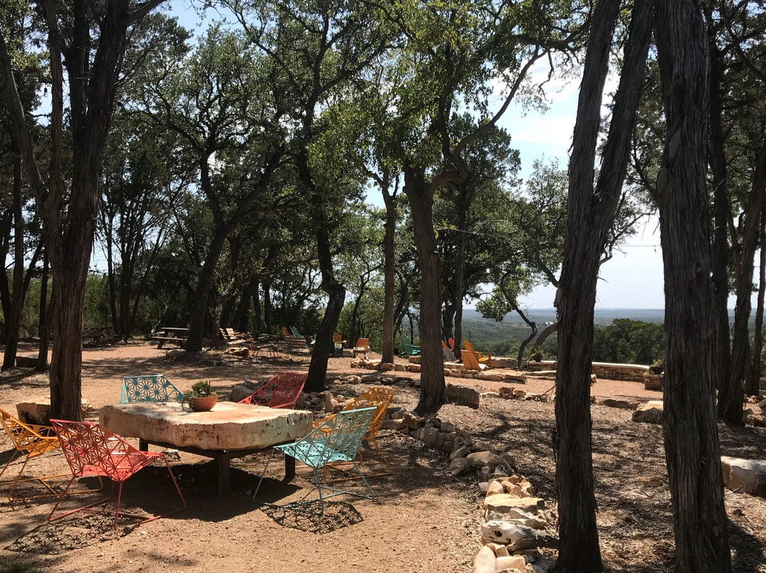 Driftwood餐馆和美食-The Shady Llama