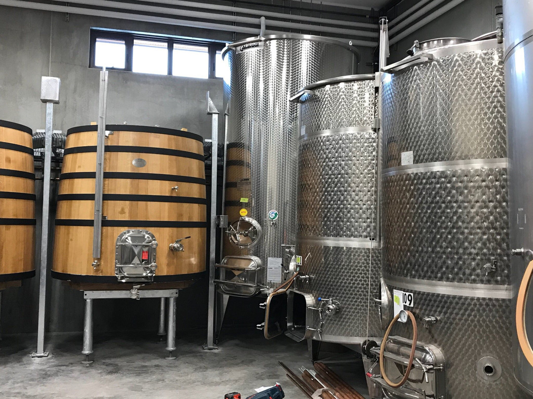 Le Vieux Pin Winery景点图片