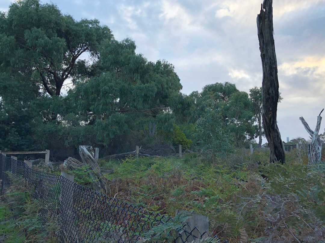 George Street Reserve-Sandringham必去景点