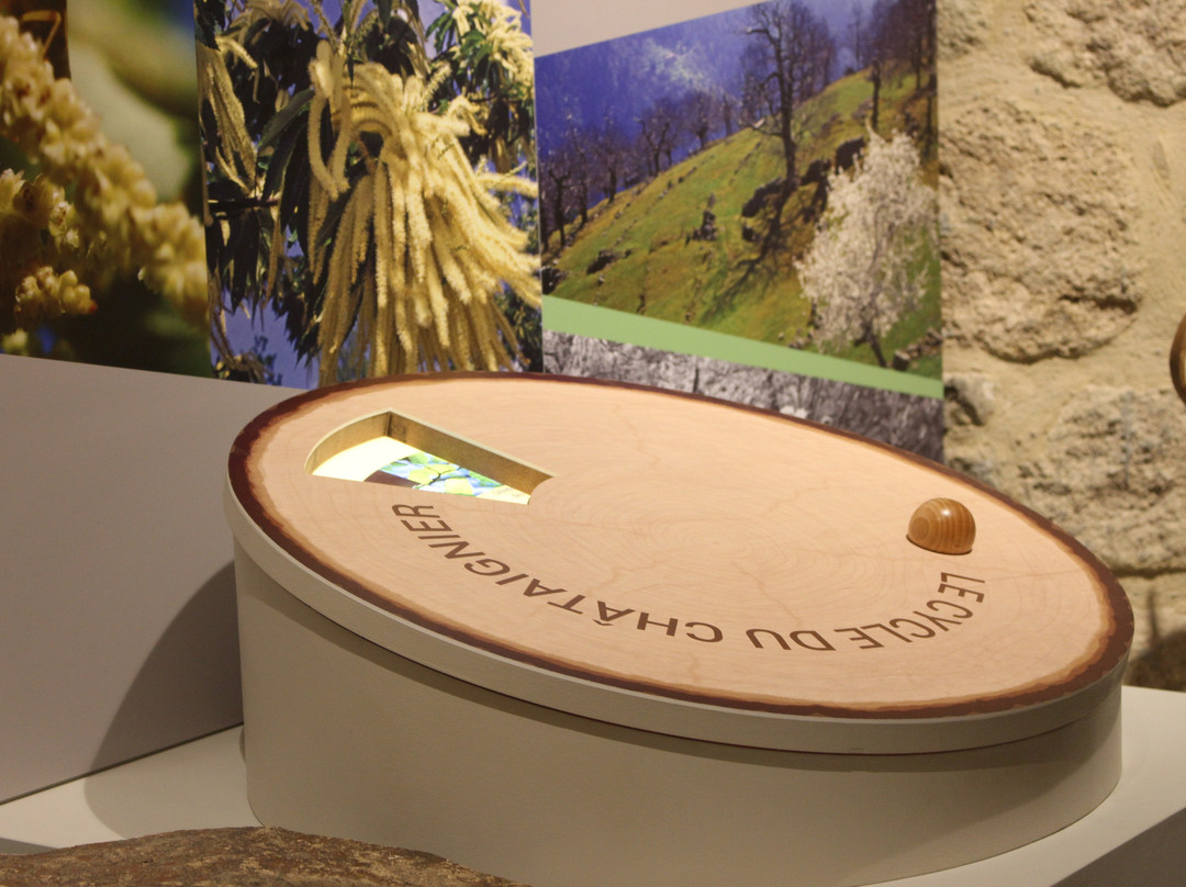 Castanea-Espace Decouverte de la Châtaigne d'Ardèche-Joyeuse必去景点