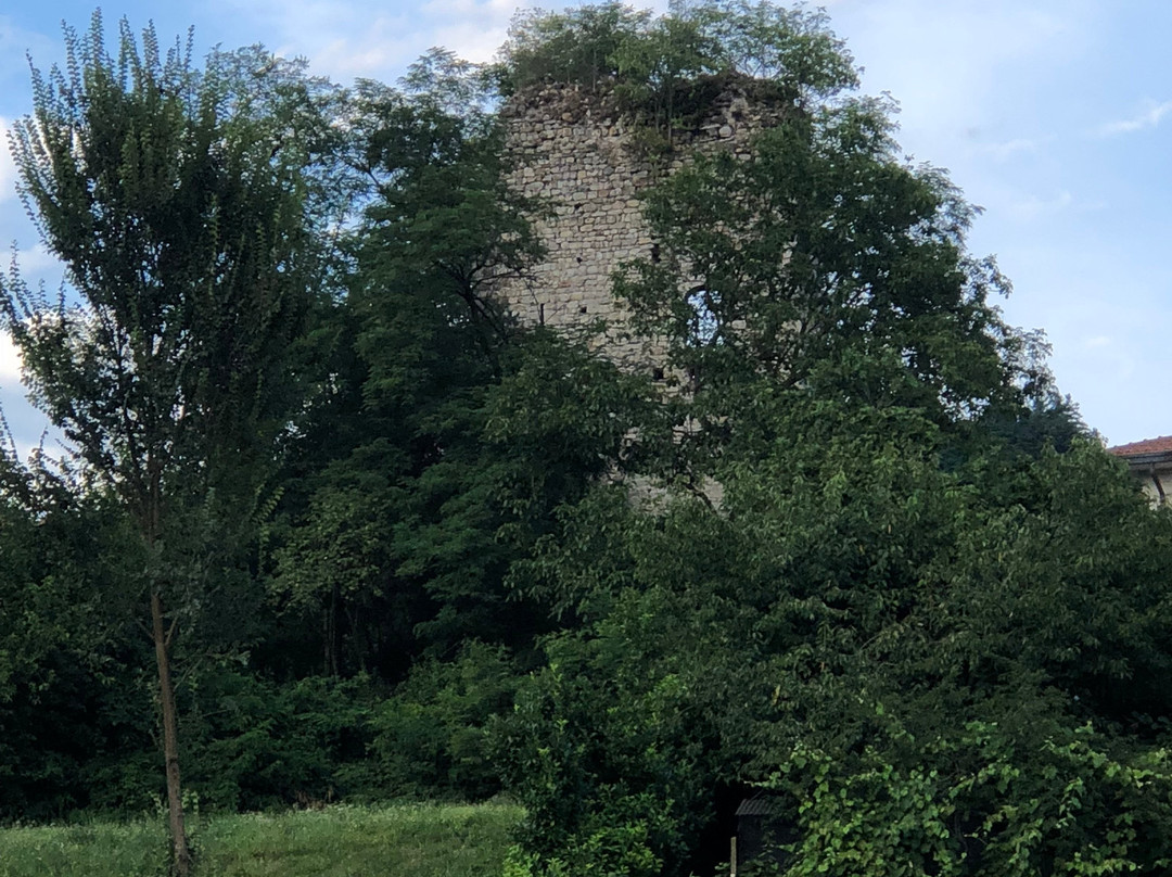 Torre di Trevisago景点图片
