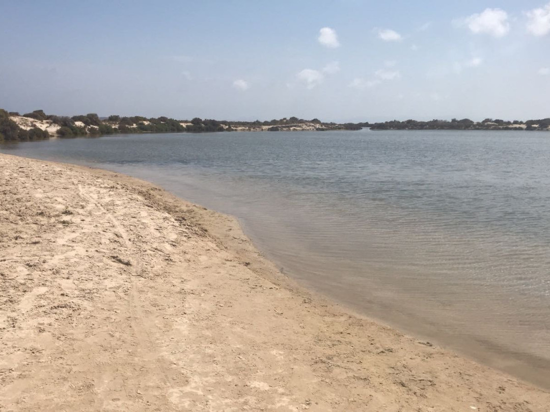 Playa de la Llana-Lo Pagán必去景点