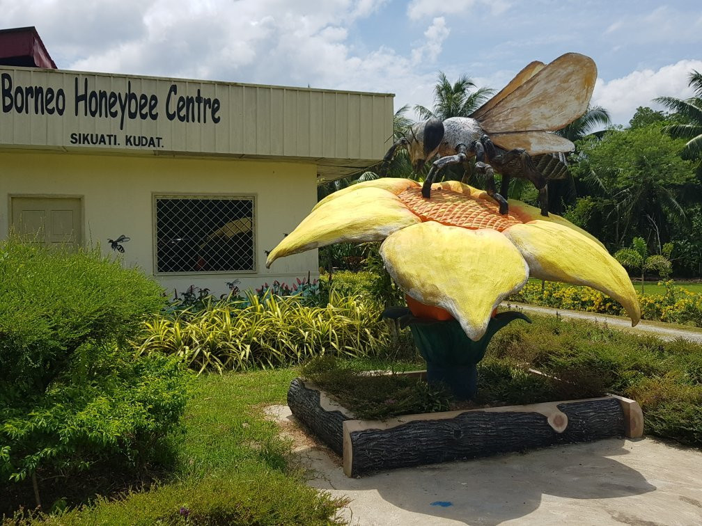 Borneo Honeybee Centre景点图片