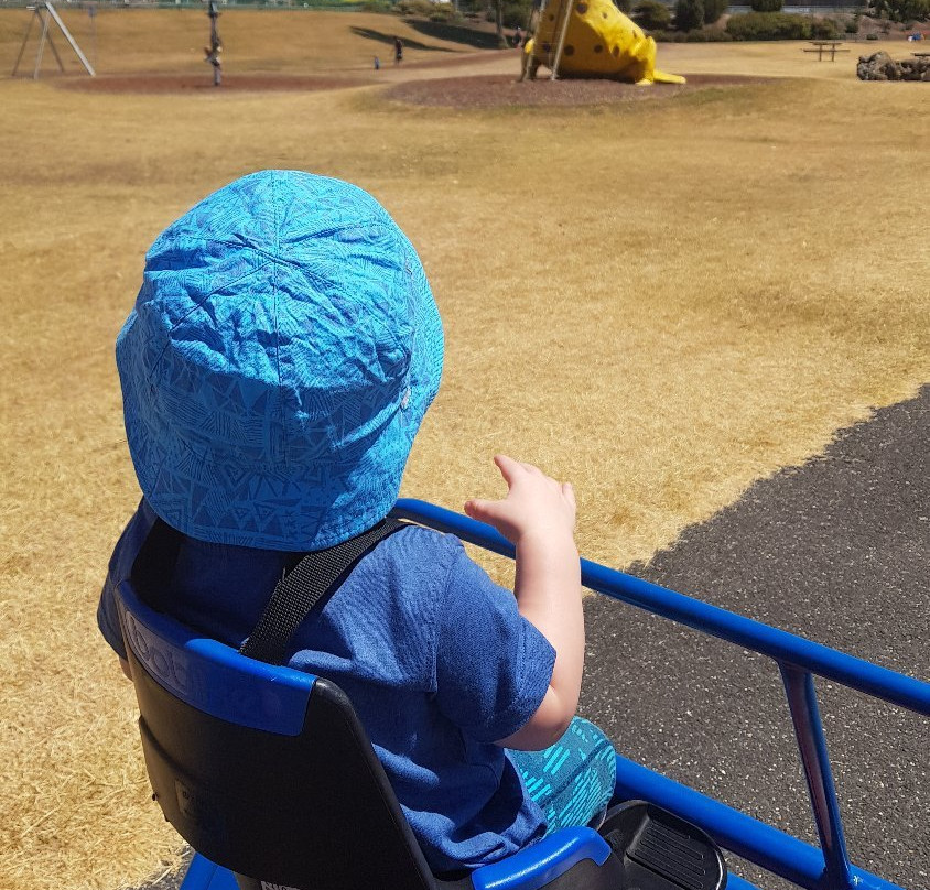Pedal Buggies Tasmania景点图片
