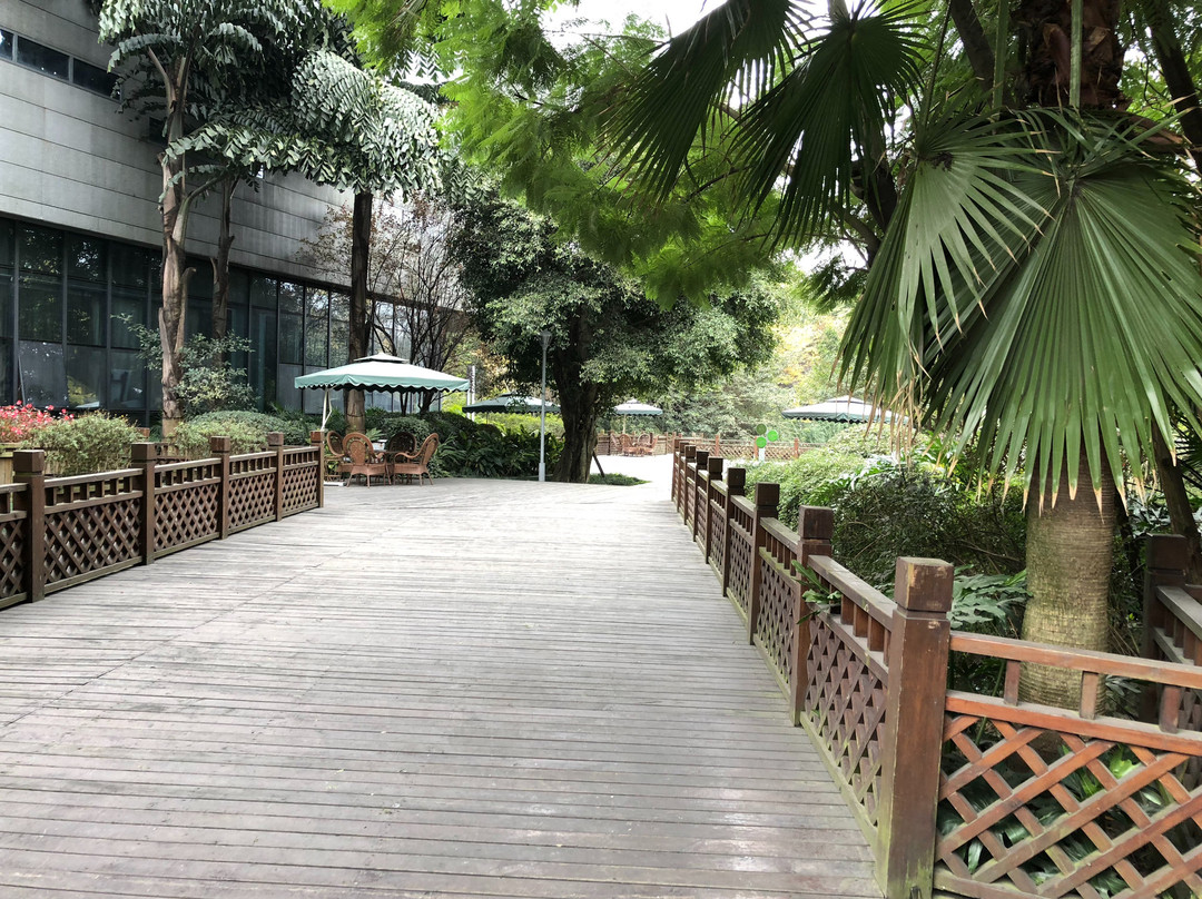 四川川投国际酒店主图