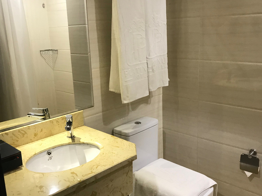 Lintas Platinum Hotel主图