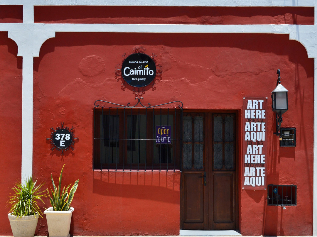 Galería de arte El Caimito-梅里达必去景点