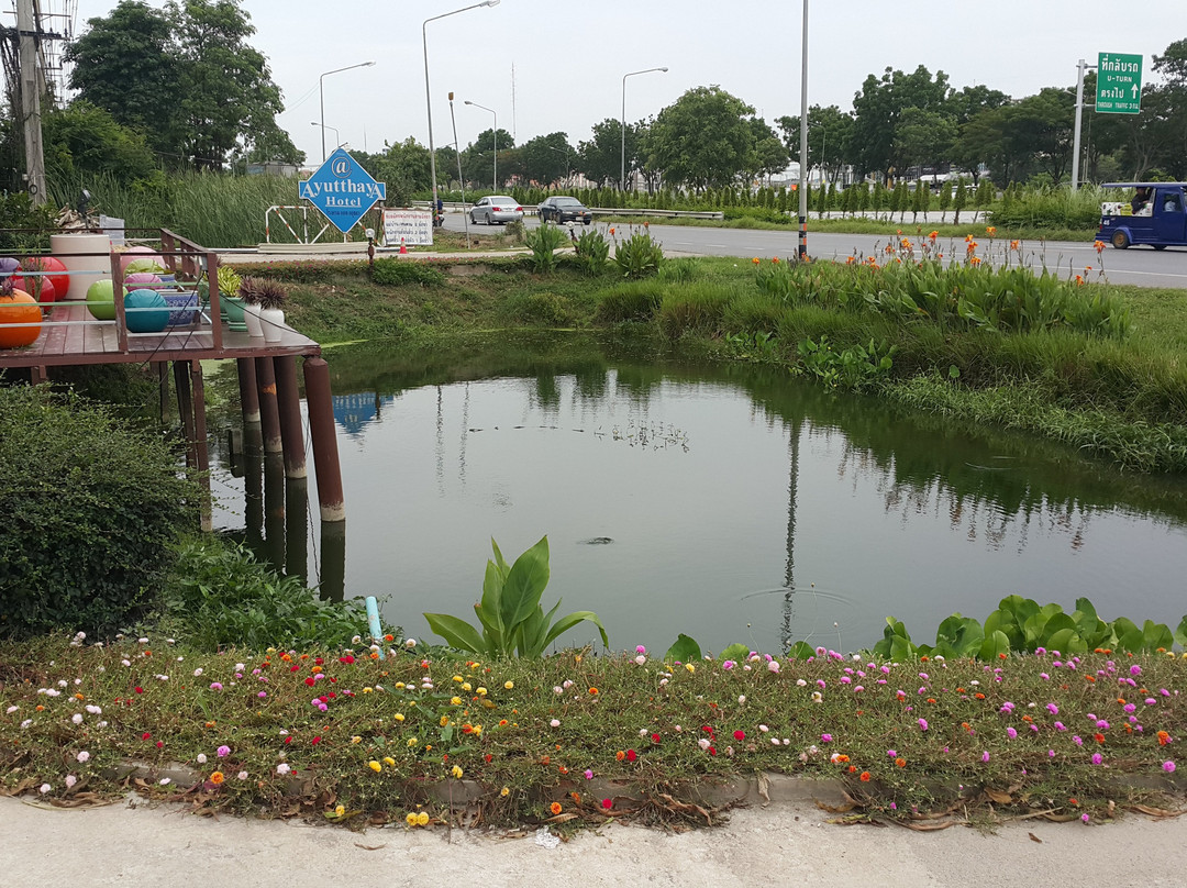 在大城府酒店主图