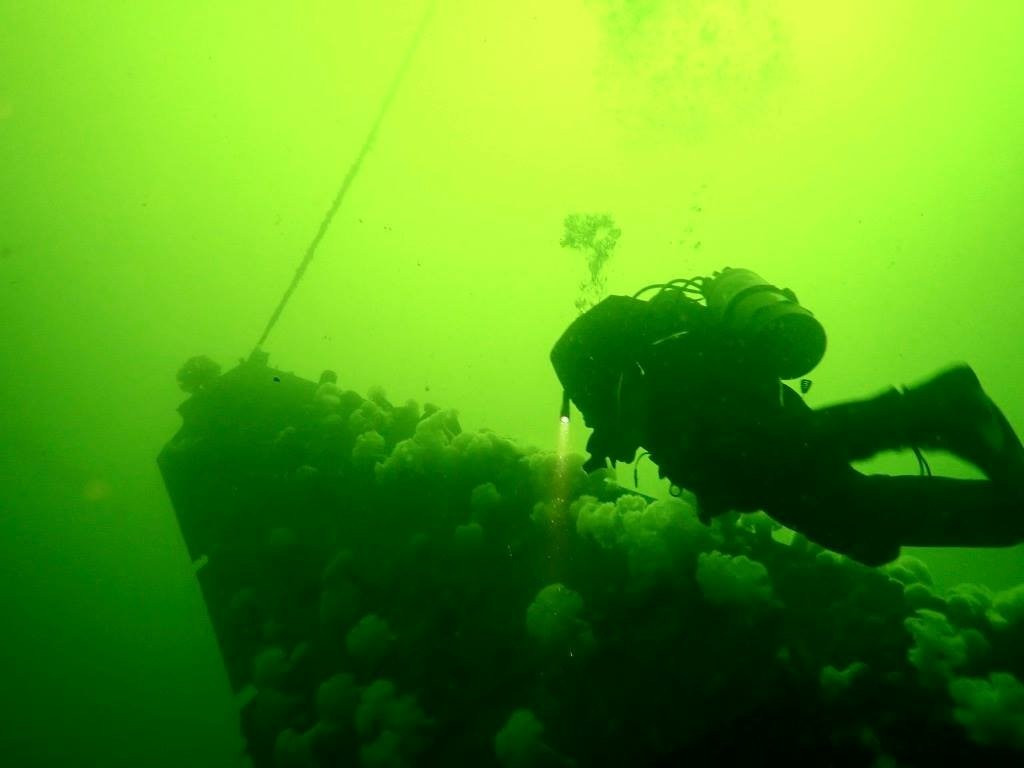 BC Dive Charters景点图片