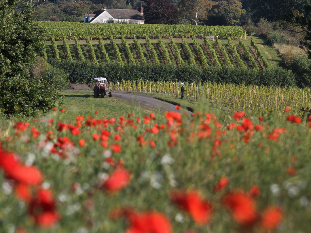 Halfpenny Green Wine Estate景点图片