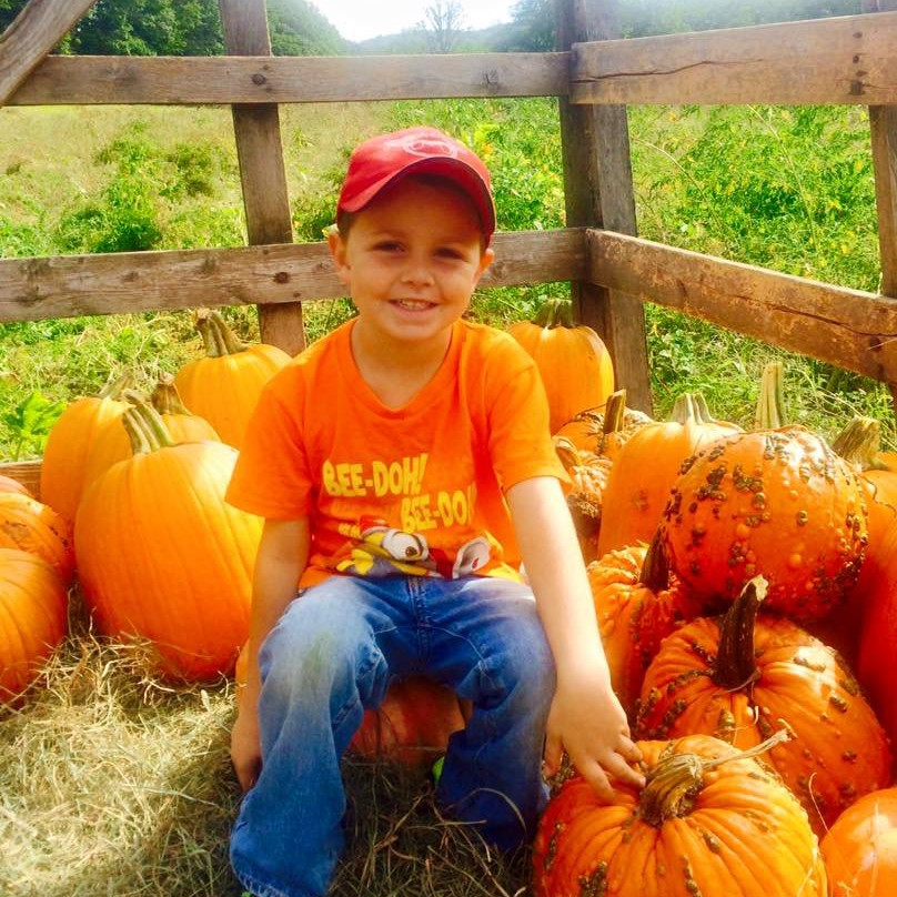 Hicks Family Farm Corn Maze-Charlemont必去景点
