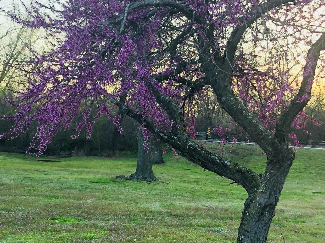 Haikey Creek Park-Broken Arrow必去景点