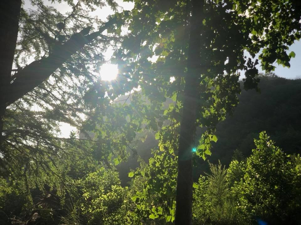 Neal's Lodges-Concan必去景点