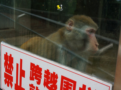 青岛动物园-青岛市必去景点