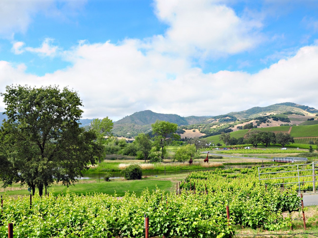 Deerfield Ranch Winery景点图片