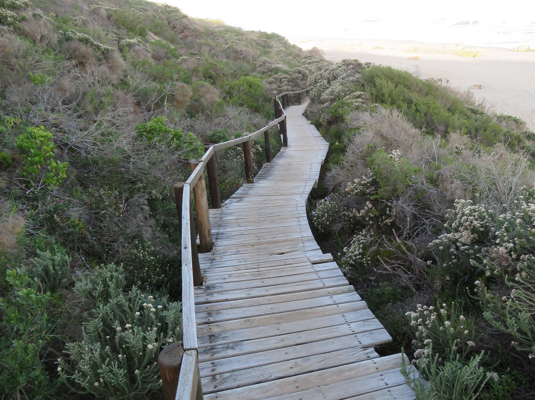 Goukamma Nature Reserve-克尼斯纳必去景点