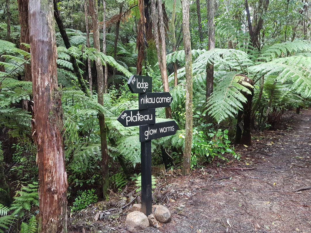 Warblers Retreat主图