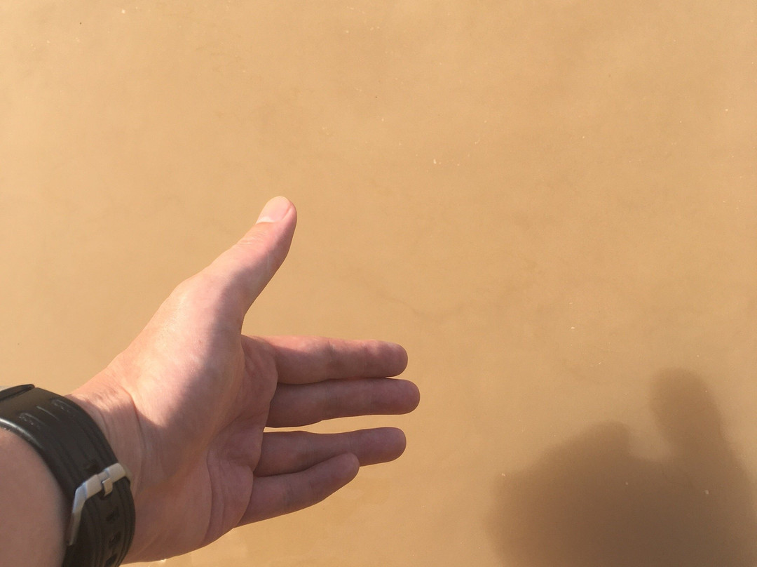 济南百里黄河-济南市必去景点