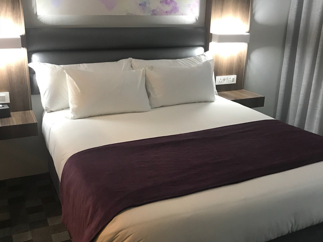 Palm Swift Luxury Accommodation主图