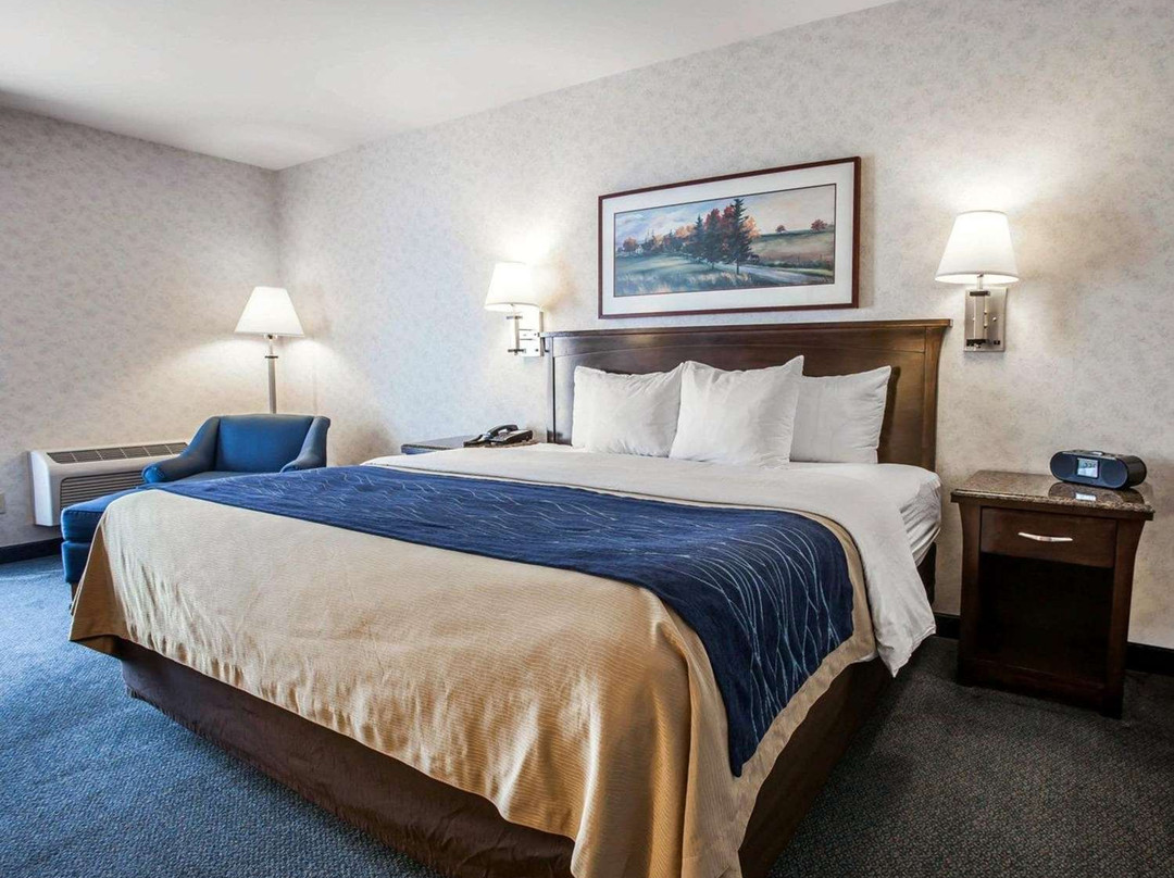 Comfort Inn Bellingham主图