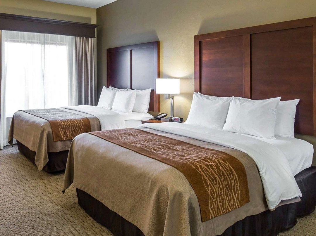 Comfort Inn Naples East I-75主图