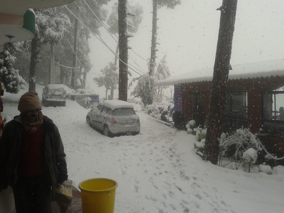 New Dolma Guest House主图