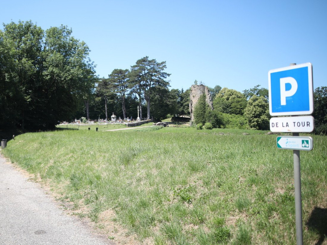 Château fort Médiéval景点图片