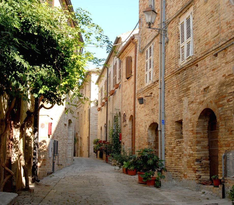 B&B Vicolo Fiorito