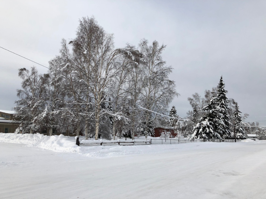 Chena River Lakes Recreation Area-北极必去景点