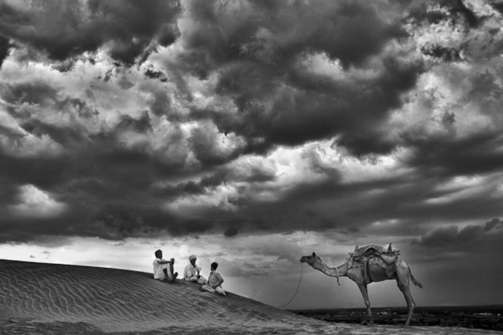 Golden Paradise Desert Resort主图