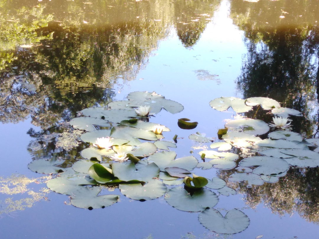 Krasnokutsk Arboretum-Krasnokutsk必去景点