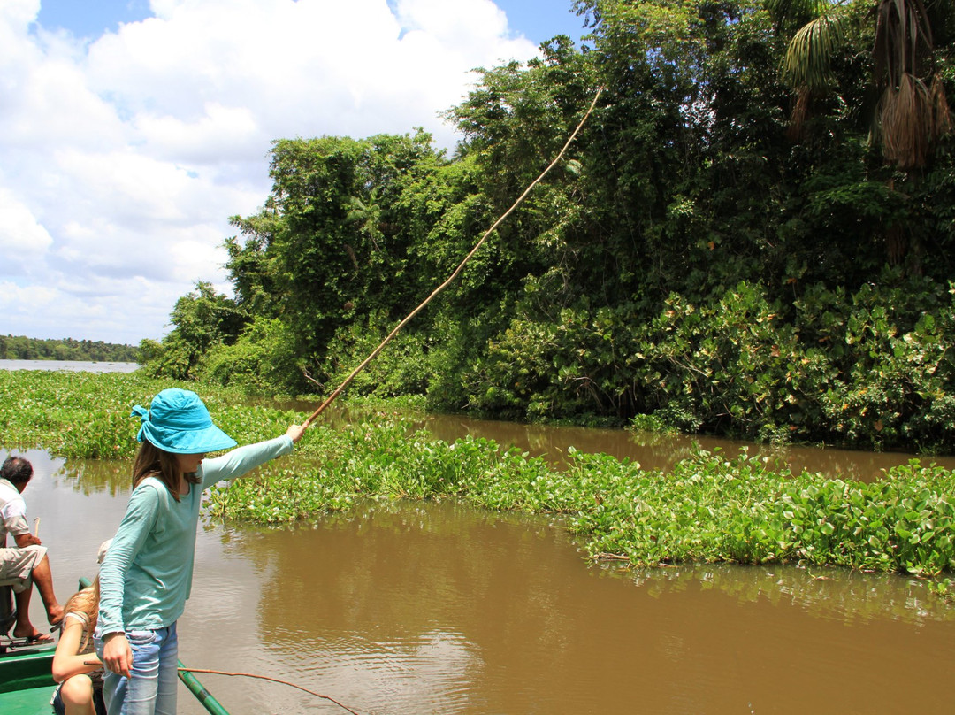 Orinoco River景点图片