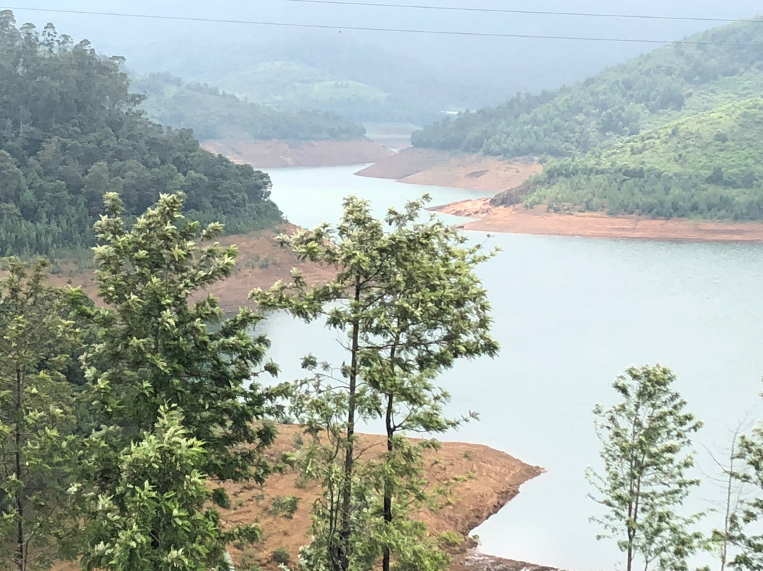 Kings Nook Avalanche主图