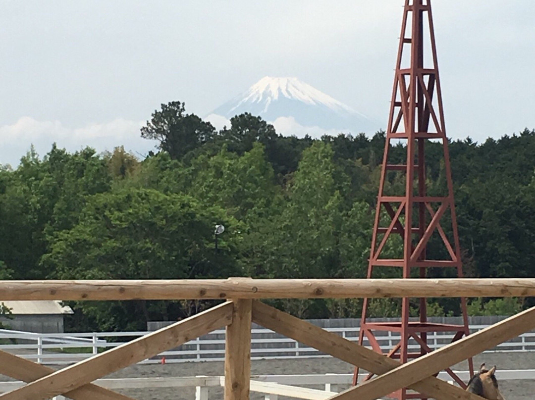 ステーキハウス MAVERICK