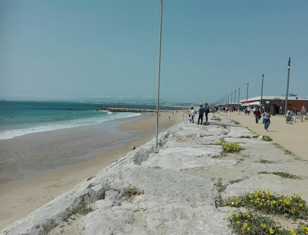 Praia do C.D.S景点图片