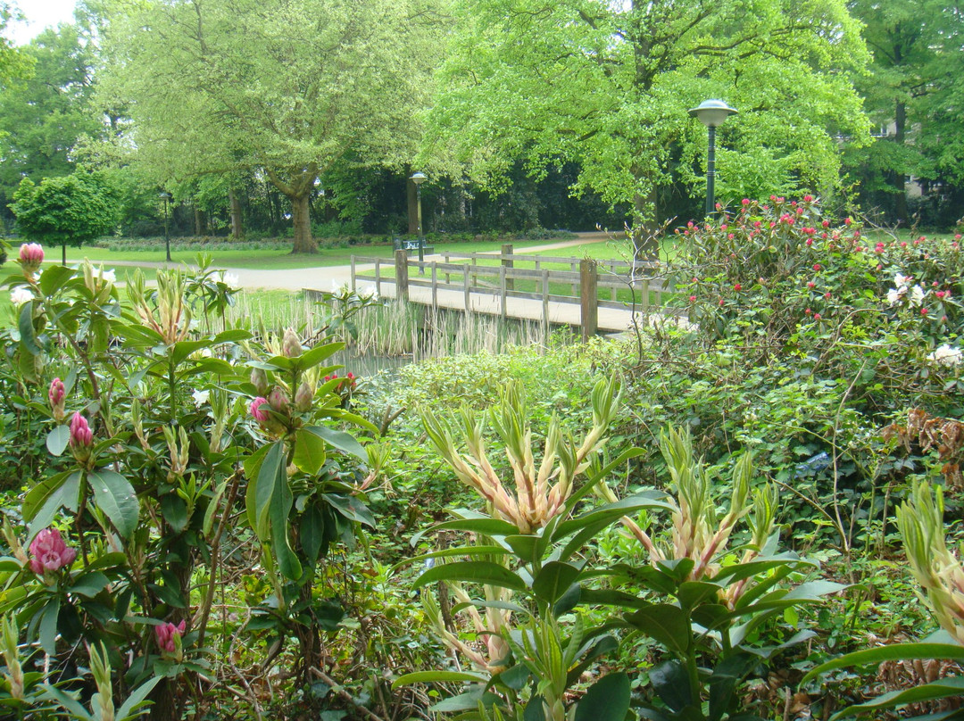 Volkspark Enschede景点图片