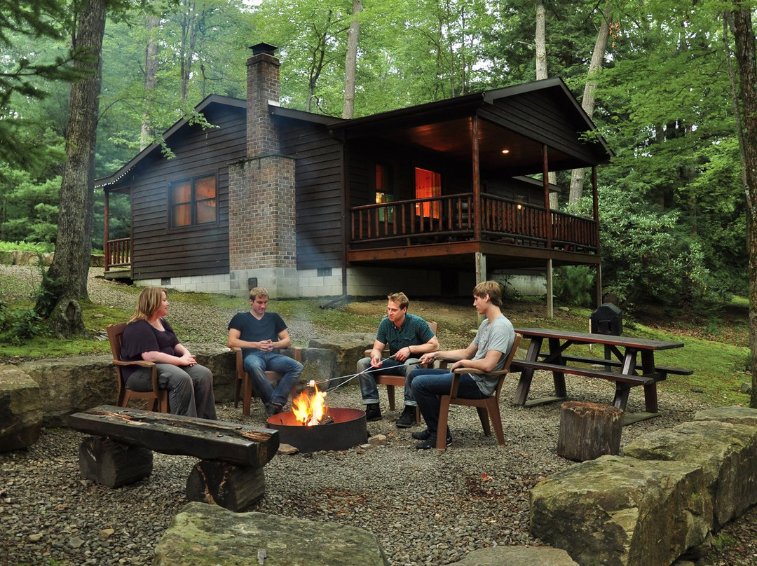Black Bear Cabins