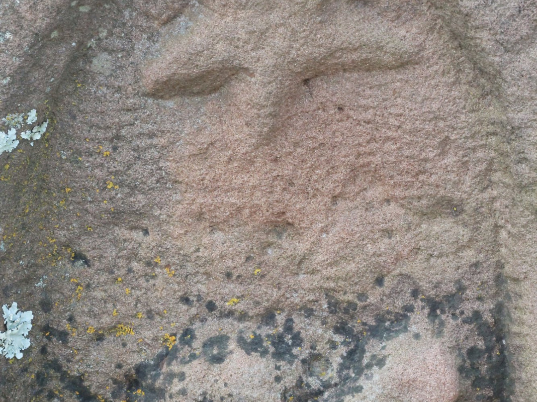 Five Civilized Tribes Museum-马斯科吉必去景点