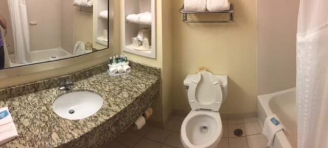 Holiday Inn Express & Suites Chattanooga-lookout Mtn By IHG-浴室