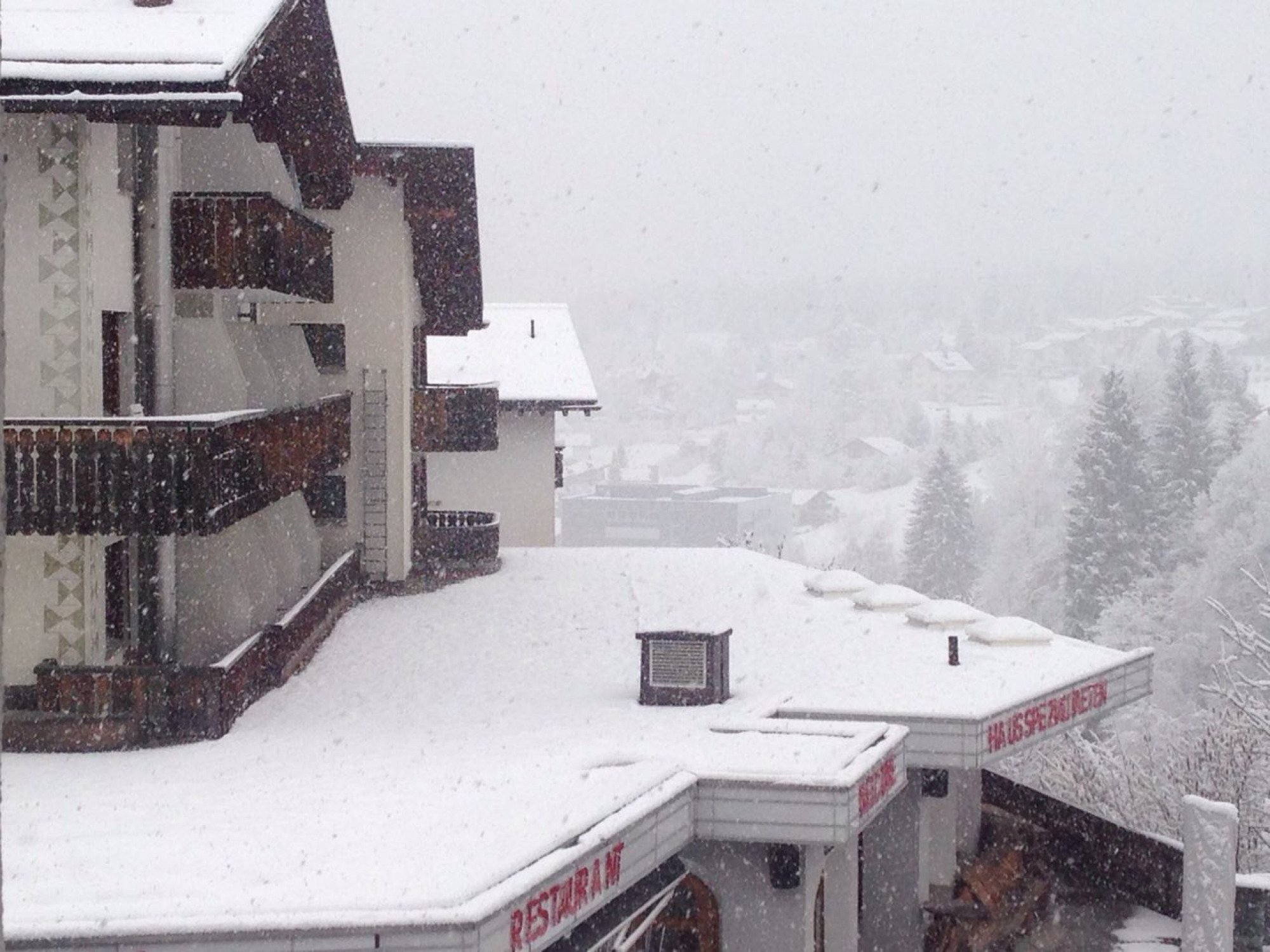 Hillsite Hotel Flims-酒店景观