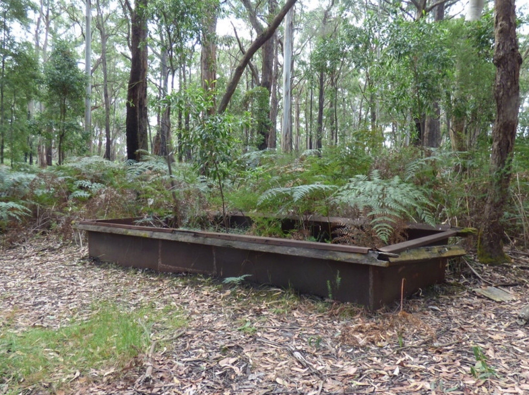 Barongarook Conservation Reserve-科拉克必去景点