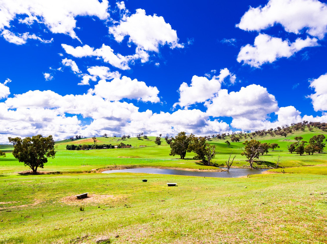 刚达盖酒店住宿-Hillview Farmstay