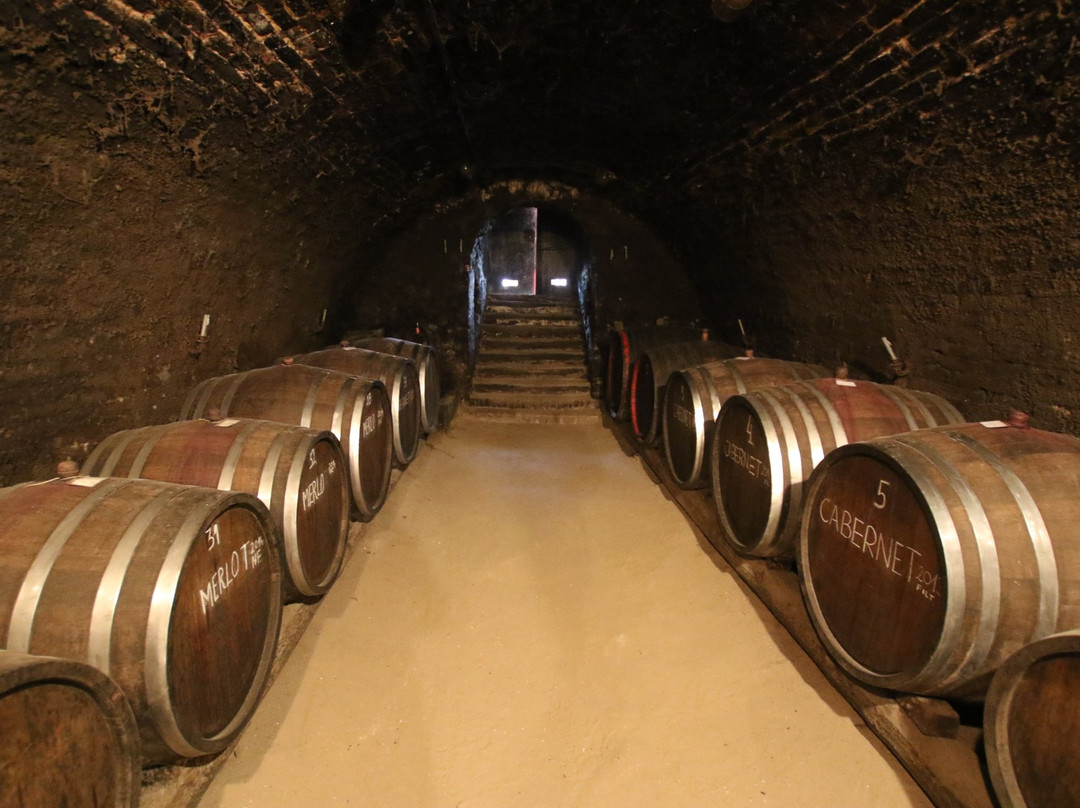 Museum of Beekeeping and Wine Cellar Zivanovic景点图片