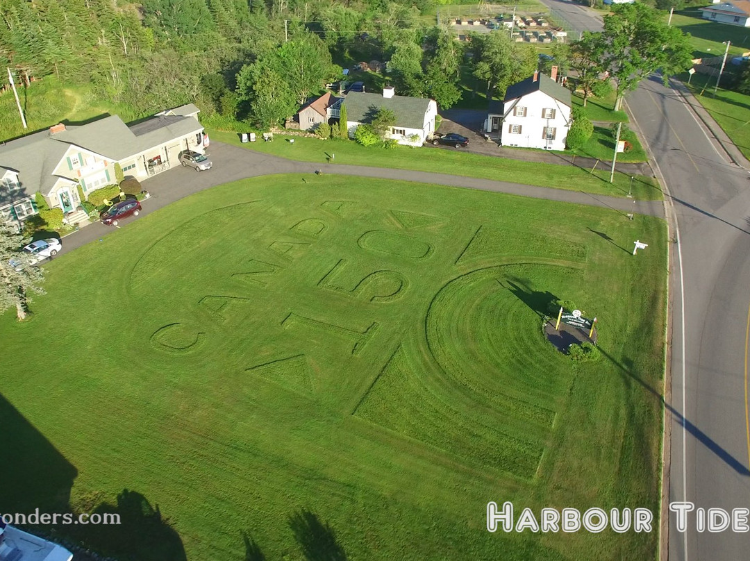 Harbour Tide Inn Bed & Breakfast主图