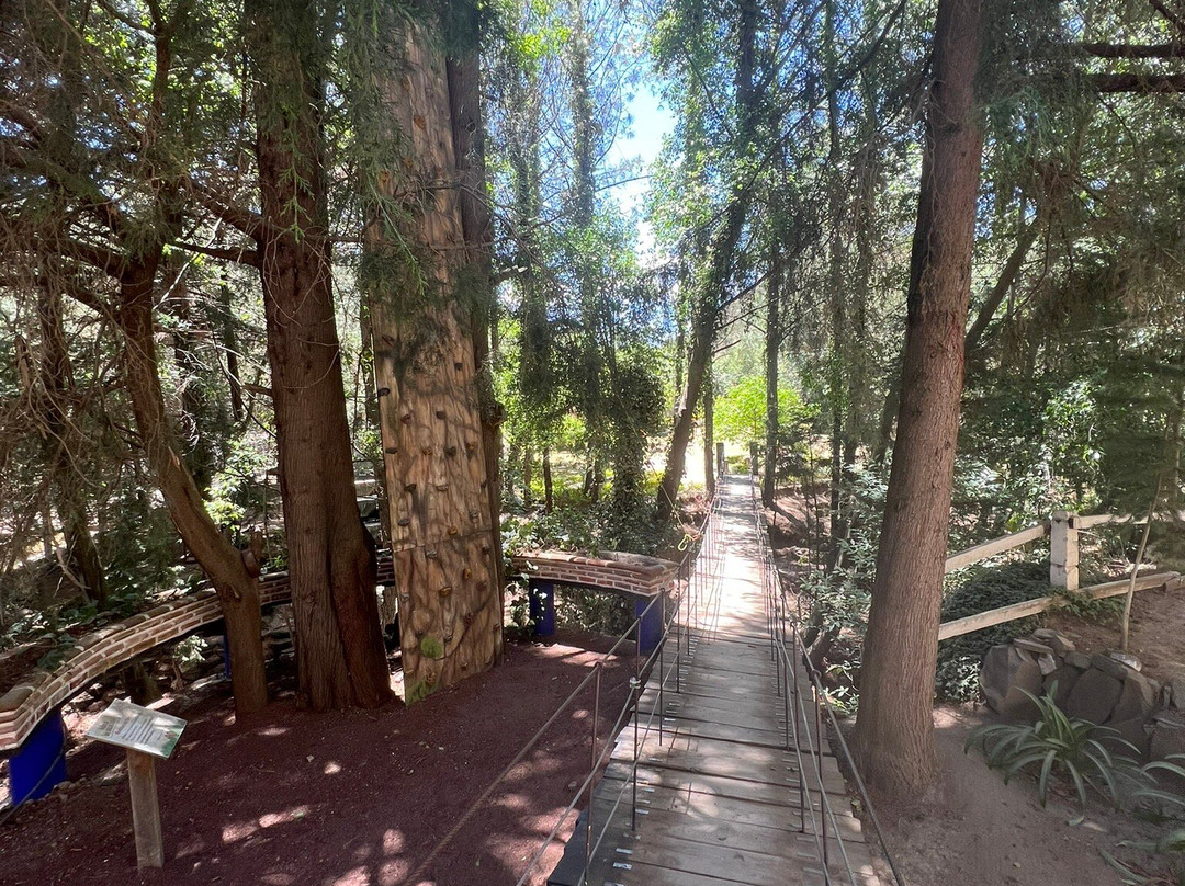 La Cabana del Leon
