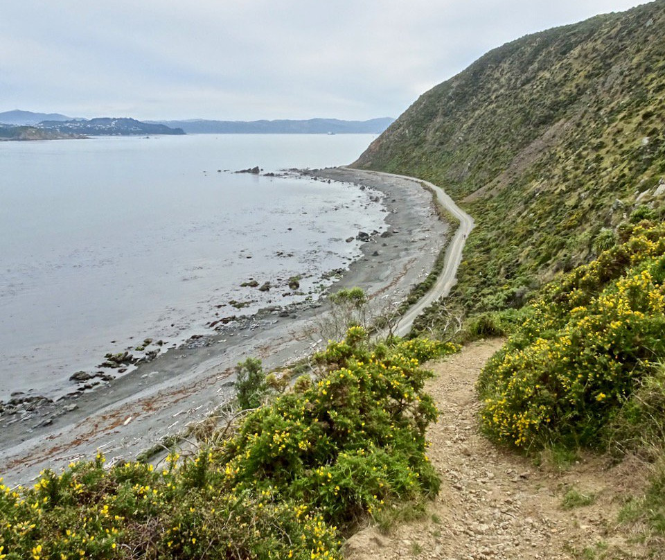 Pencarrow Coastal Trail景点图片