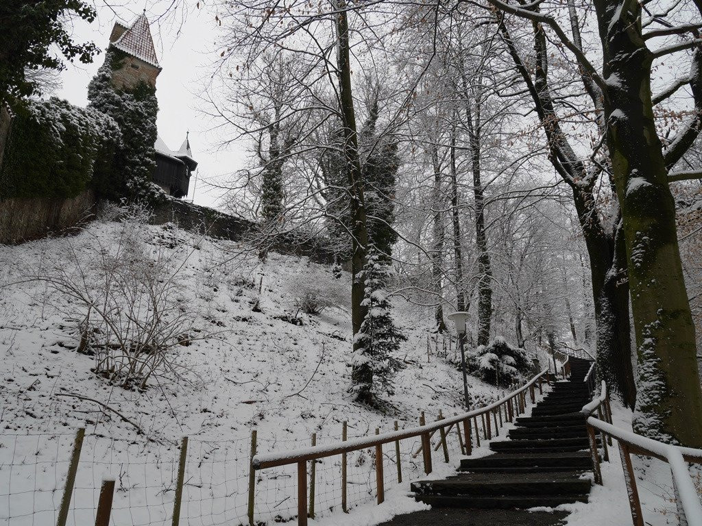 Allgäuer Burgenmuseum-肯普滕必去景点